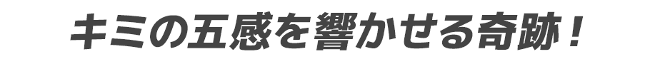 キミの五感を響かせる奇跡！